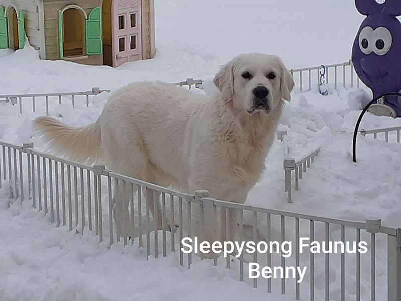 Benny