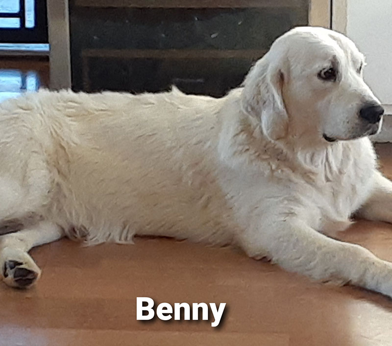Benny
