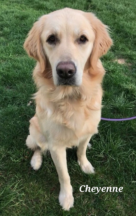 Cheyenne